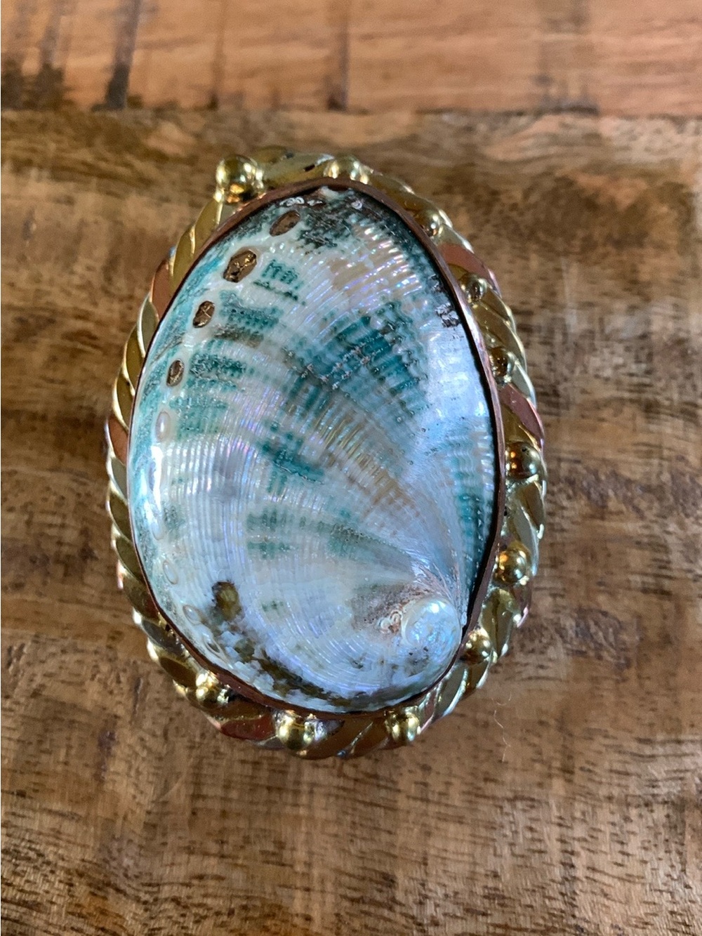 Vintage Carreon Abalone Shell Mixed Metal Scarf Slide